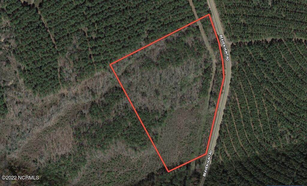 0 Beamon Hunt Road - Photo 1