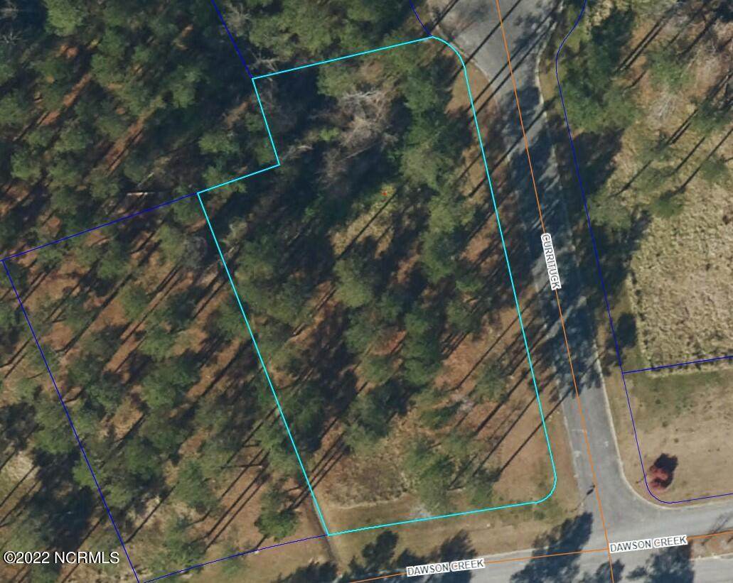 31 Currituck Court - Photo 1