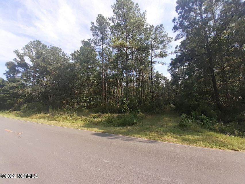 0 North Drive - Photo 1