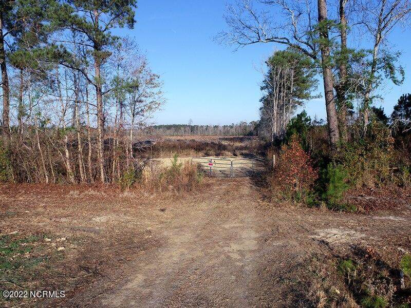 0 Loop Road - Photo 1