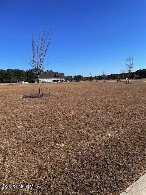 0 Autumn Breeze Court - Photo 1