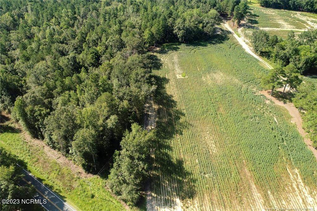 Tract 2 Elliott Bridge Road - Photo 1