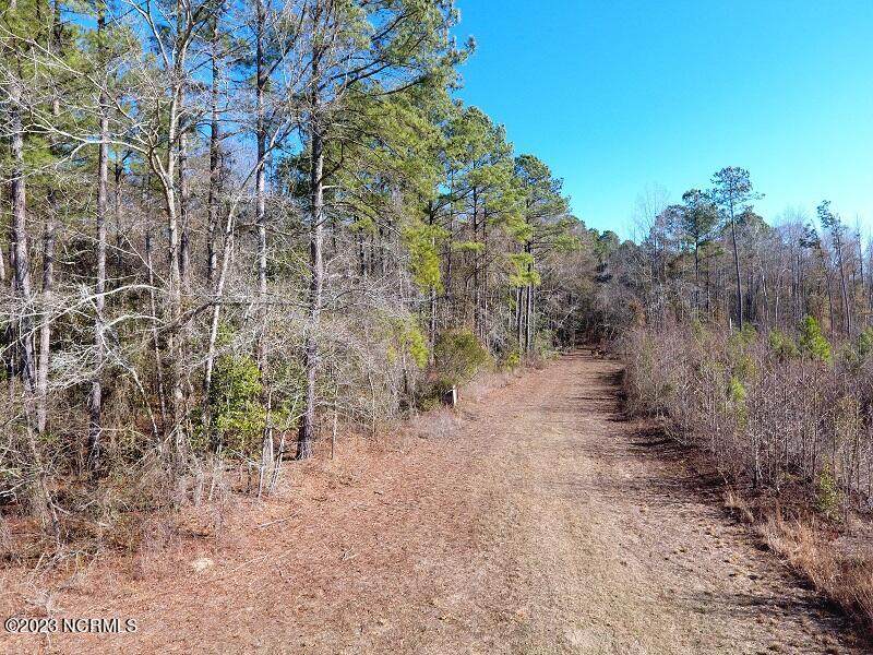 0 Garland Highway - Photo 1