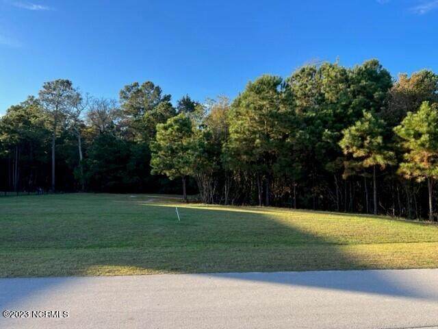 211 Everett Park Trail - Photo 1