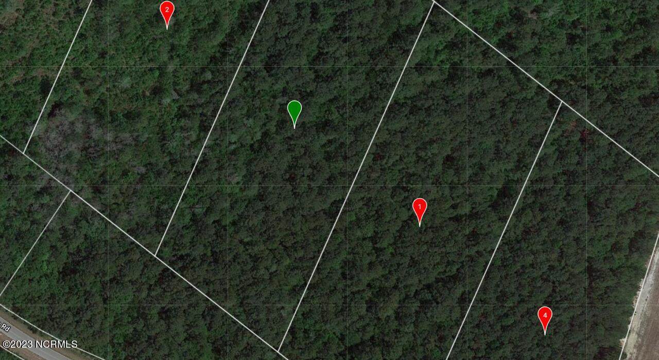 728 Pittman Loop Road - Photo 1