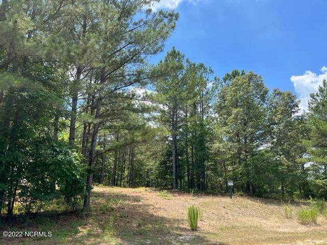 183 Trailcrest Drive - Photo 1