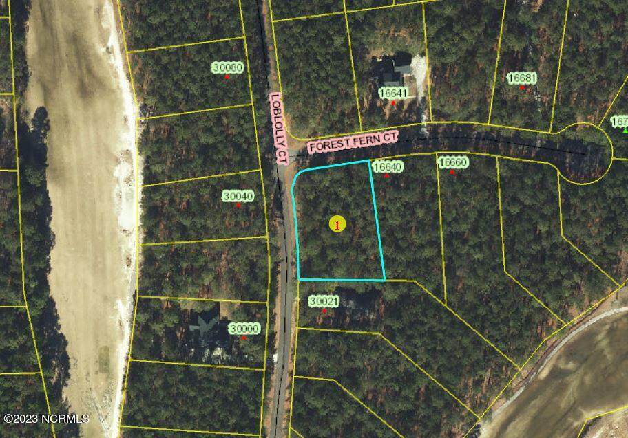 32 Loblolly Court - Photo 1