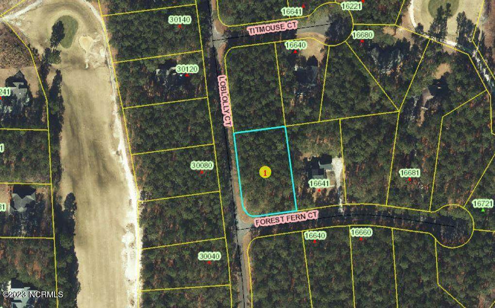 21 Loblolly Court - Photo 1