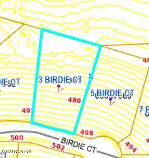 3 Birdie Court - Photo 1