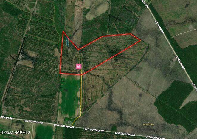Tbd Old Dothan Road - Photo 1