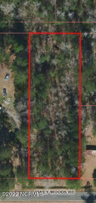 Lot 29 Piney Woods Road - Photo 1