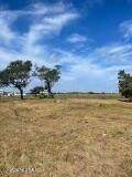 661 Oak Hammock Drive - Photo 43