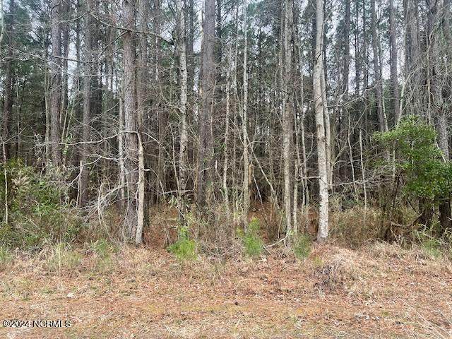 Lot 76 Mcgowan Road - Photo 1