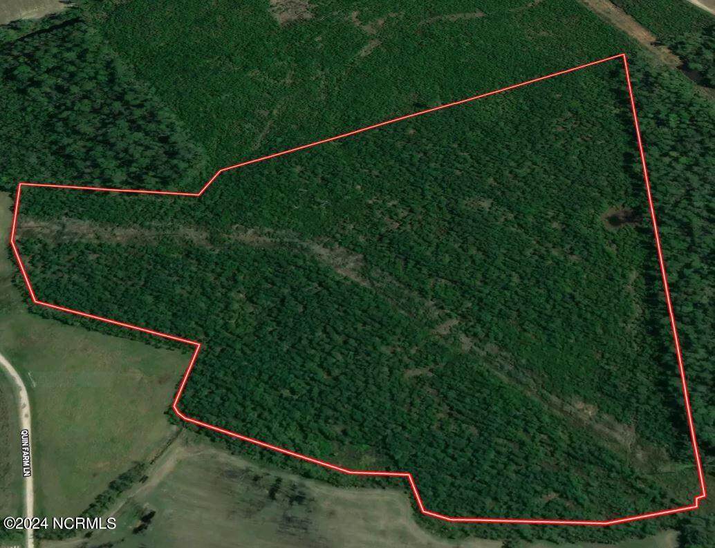 48 Acres Quinn Farm Lane - Photo 1