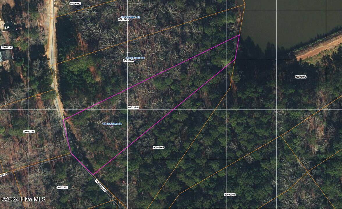 125 Palomino Road - Photo 1