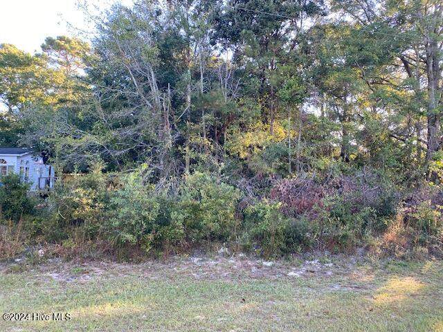 1688 Chadwick Landing Drive - Photo 1