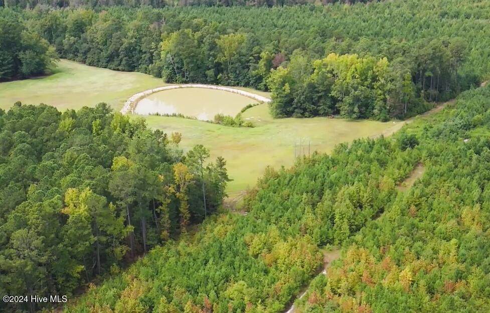 Lot R2 Cypress Church Road - Photo 1