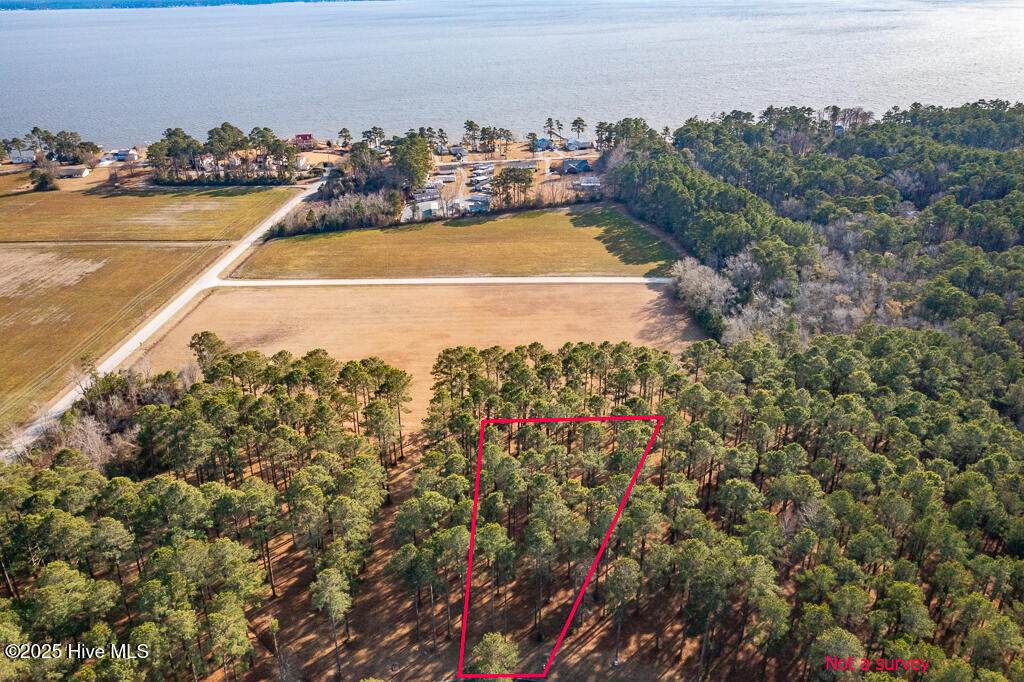 167 Frying Pan Loop - Photo 1