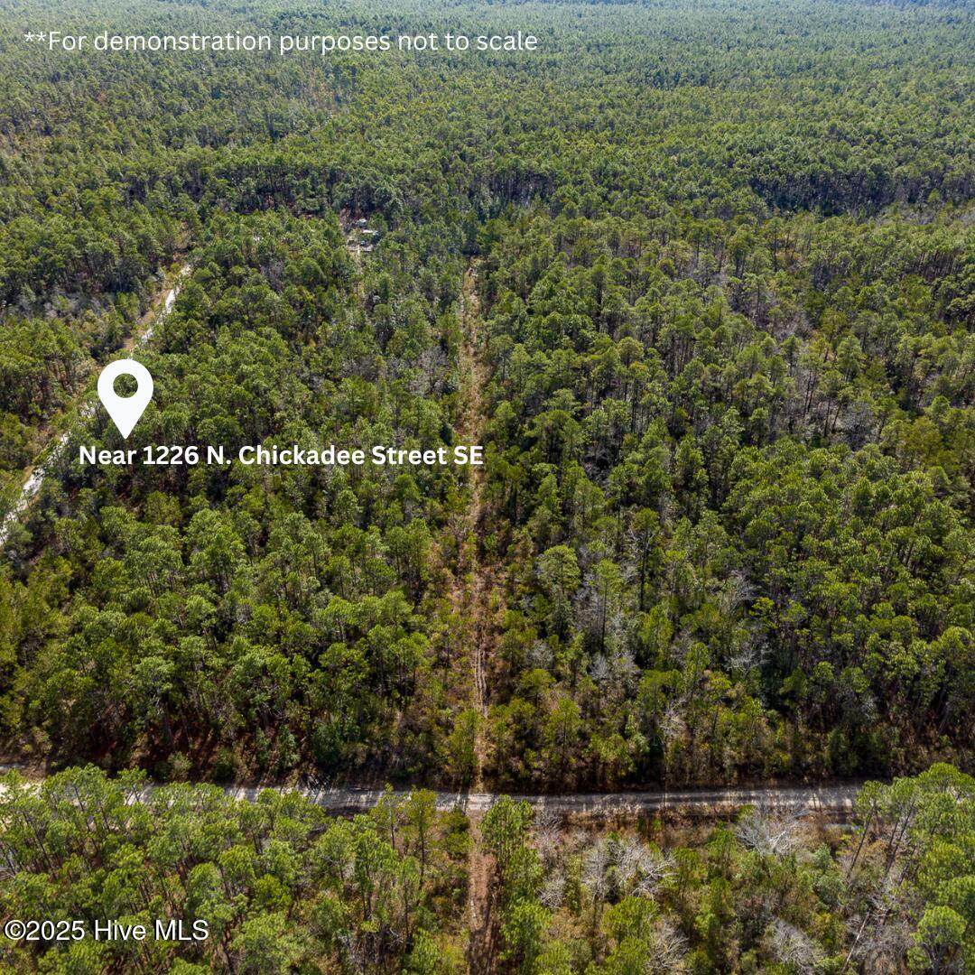 Near 1226 Chickadee Street - Photo 1