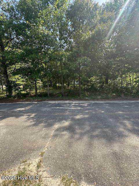 100 Orchestra Lane - Photo 1