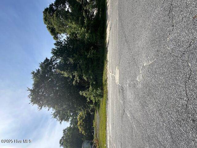 201 Linen Lane Lane - Photo 1