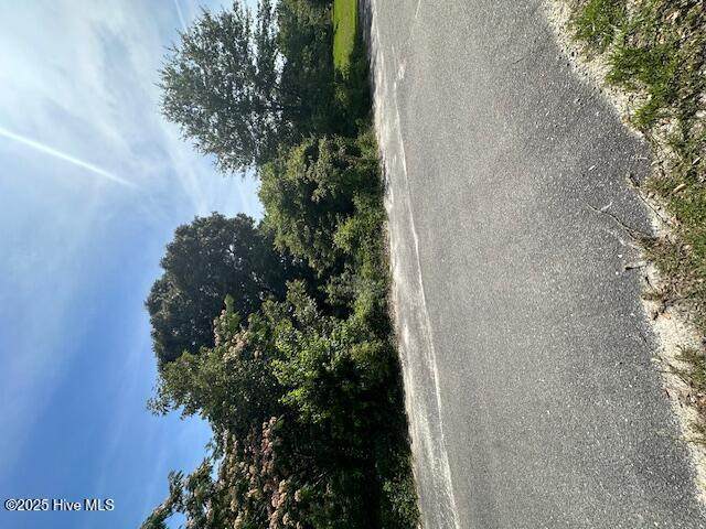 102 Orchestra Lane - Photo 1