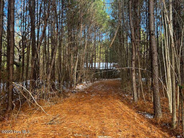 1630 West Mount Drive - Photo 1