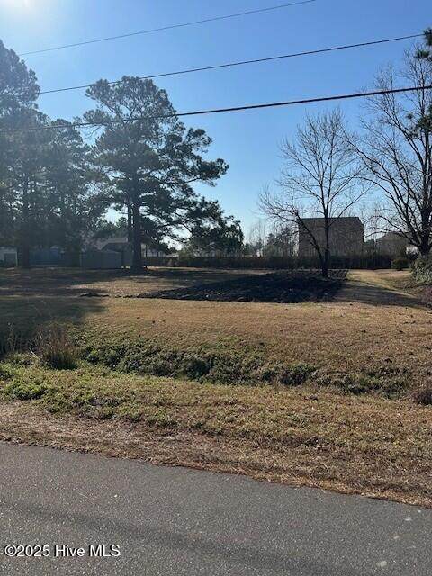 164 Horne Place Drive - Photo 1