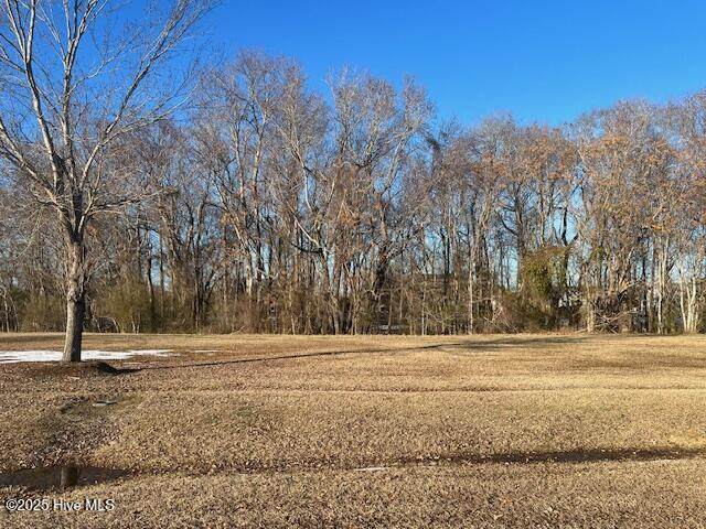 159 Highland Pony Drive - Photo 1