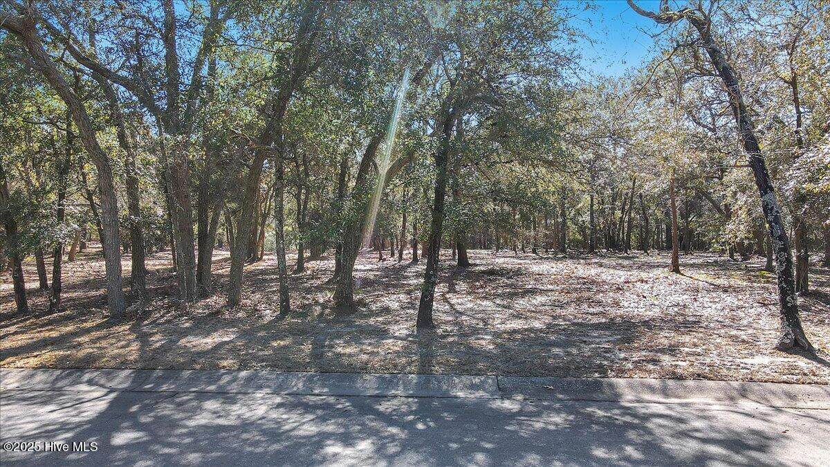 591 Seascape Boulevard - Photo 1