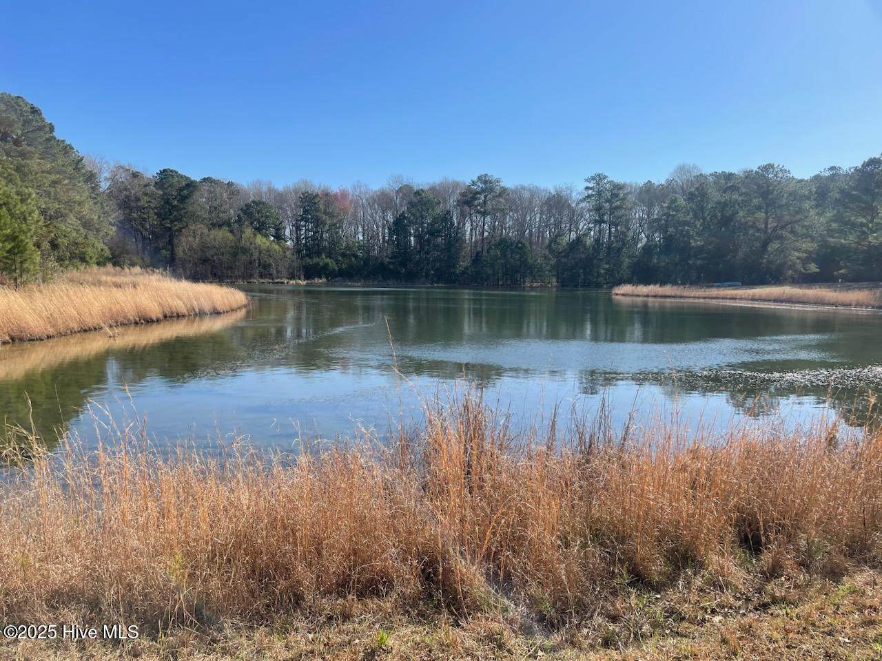5635 Mckendree Church Road - Photo 1