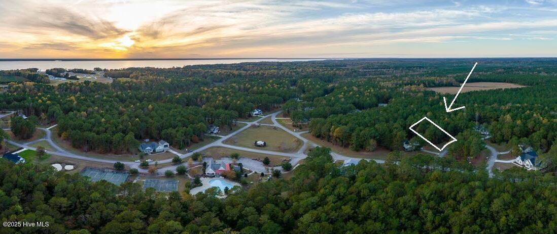 70 Muscadine Court - Photo 1