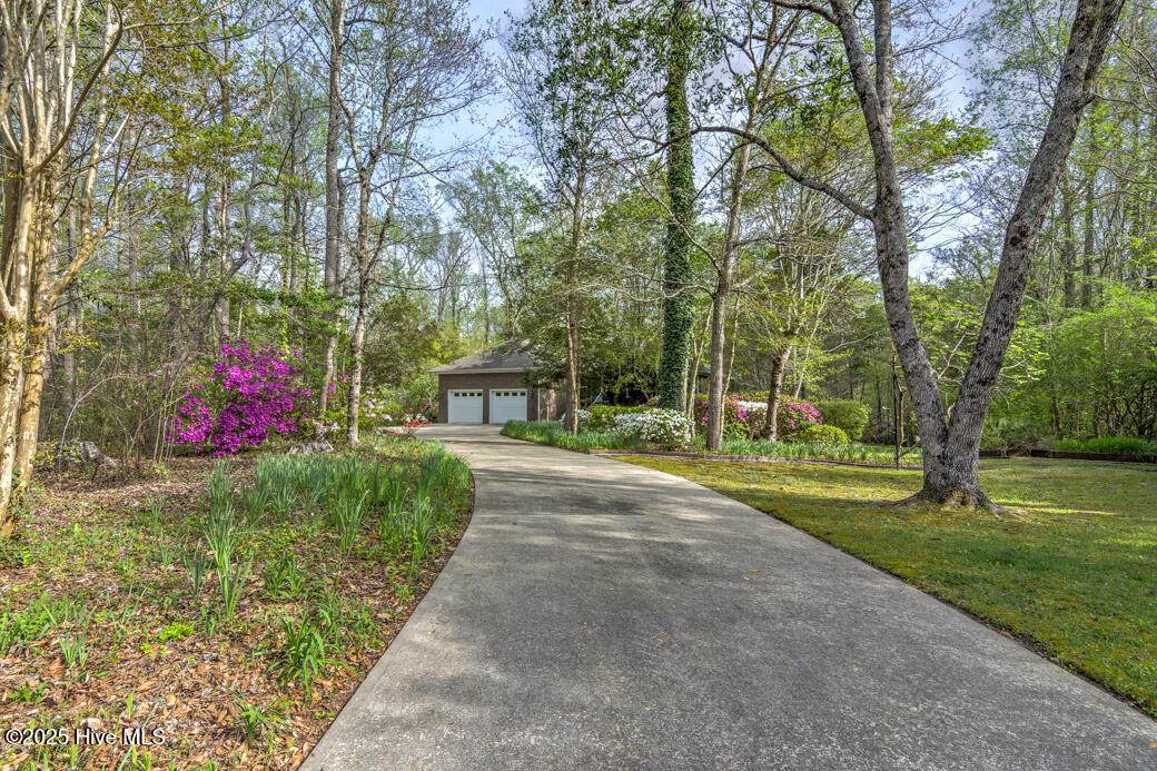 309 Taliaferro Lane - Photo 1