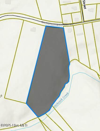 Tbd Nicholson Road - Photo 1
