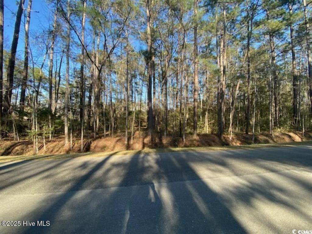 13 Myrtlewood Drive - Photo 1