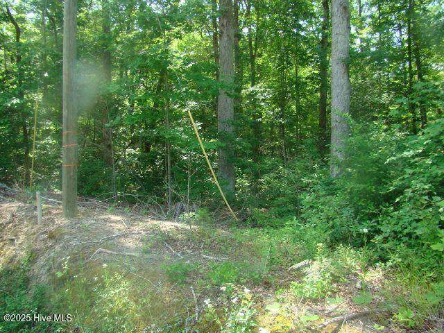 1 Birch Drive - Photo 1