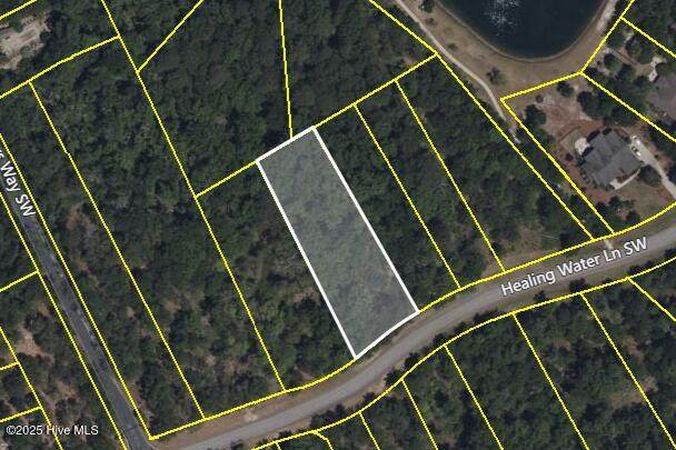 1877 Healing Water Lane - Photo 1