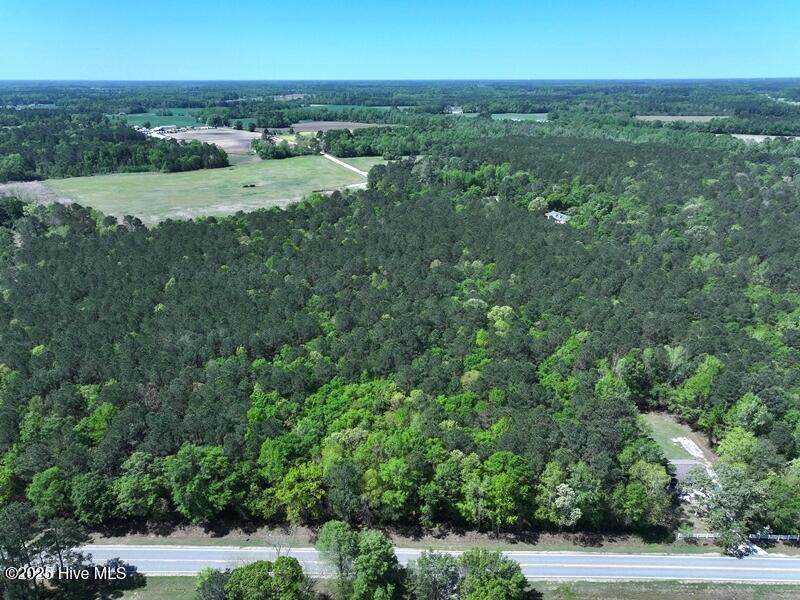 Tbd Sand Rock Road - Photo 1
