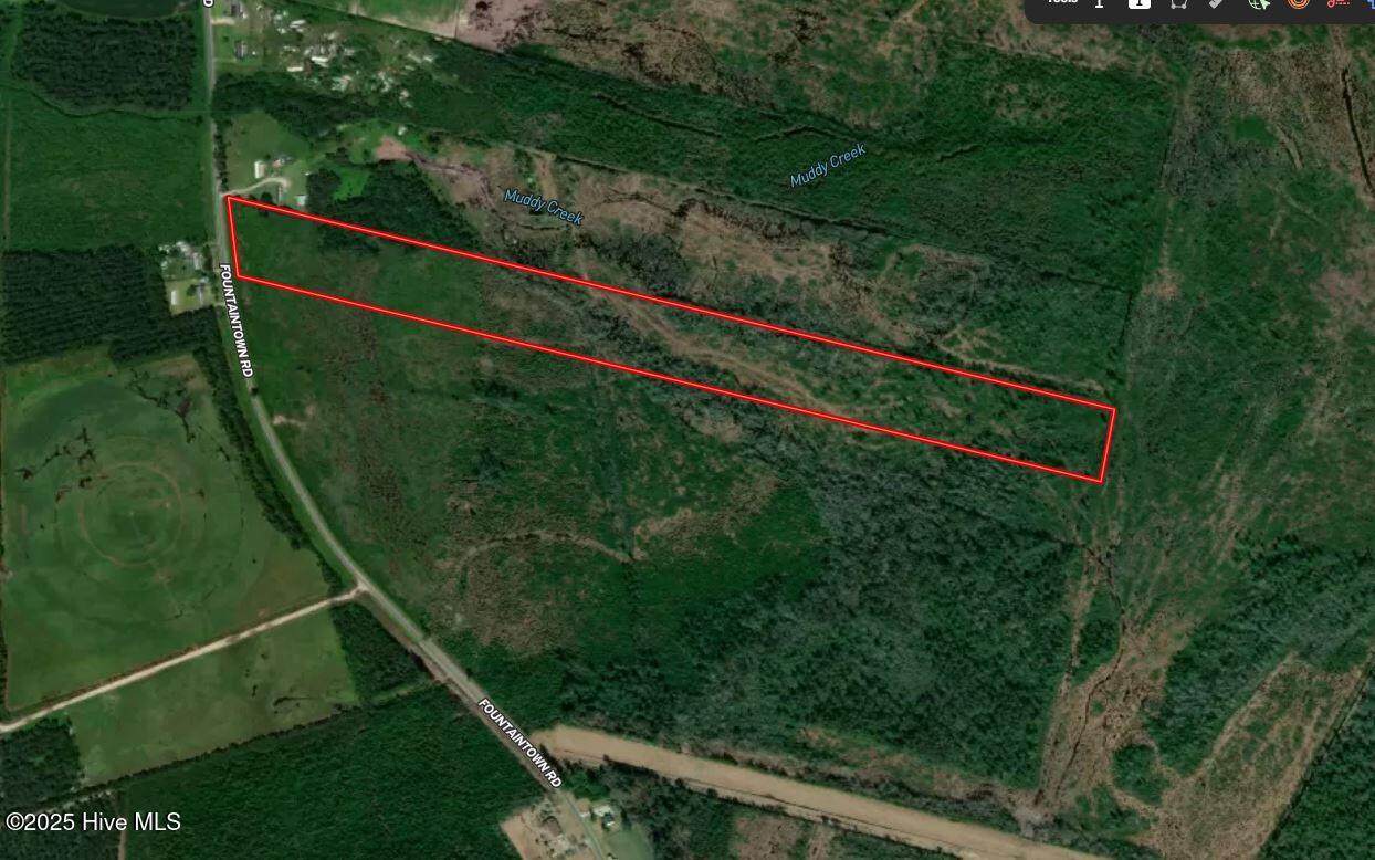 28.6 Acres Fountaintown Road - Photo 1