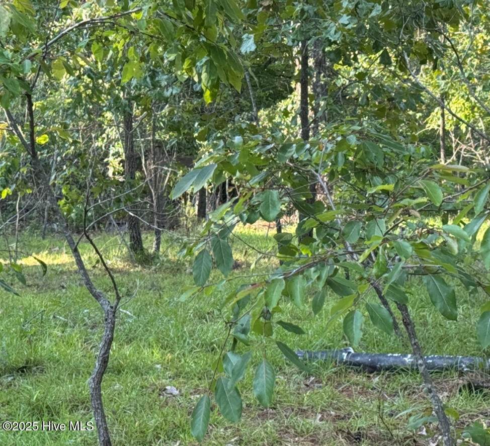 https://bt-photos.global.ssl.fastly.net/ncreg/orig_boomver_1_100516250-2.jpg