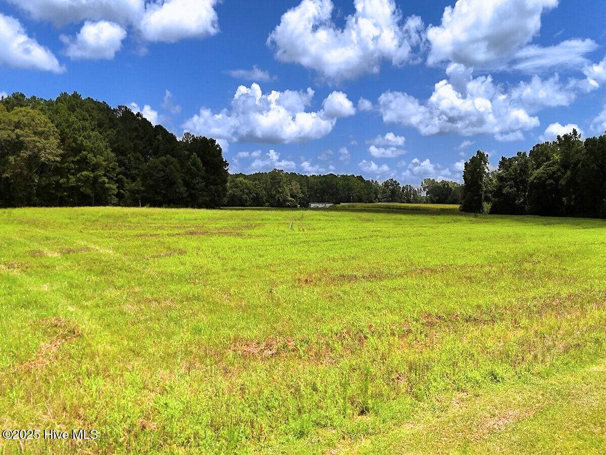 481 Nine Mile Road - Photo 1