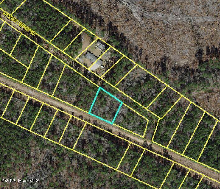 Lot 36 Fontana Lane - Photo 1