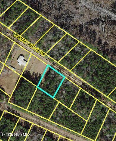 Lot 43 Manor Ridge Drive - Photo 1