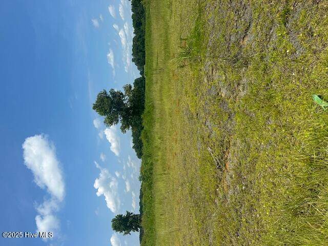 Near 93 Williams Road - Photo 1