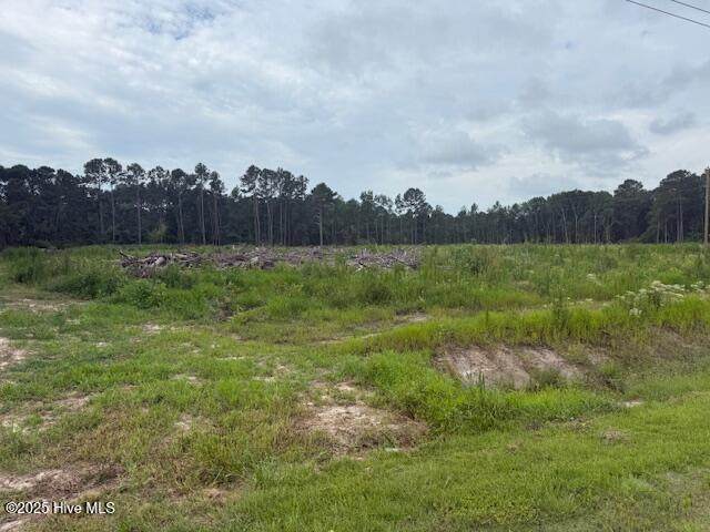 751 Stack Turner Road - Photo 1