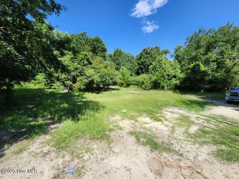 306 Howards Landing Road - Photo 1