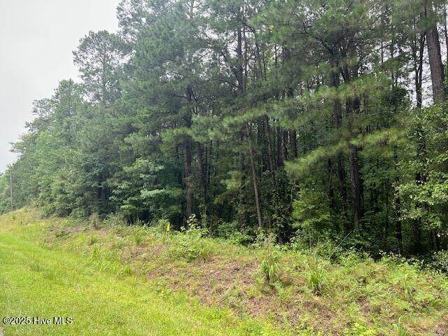 00 Loop Road Road - Photo 1