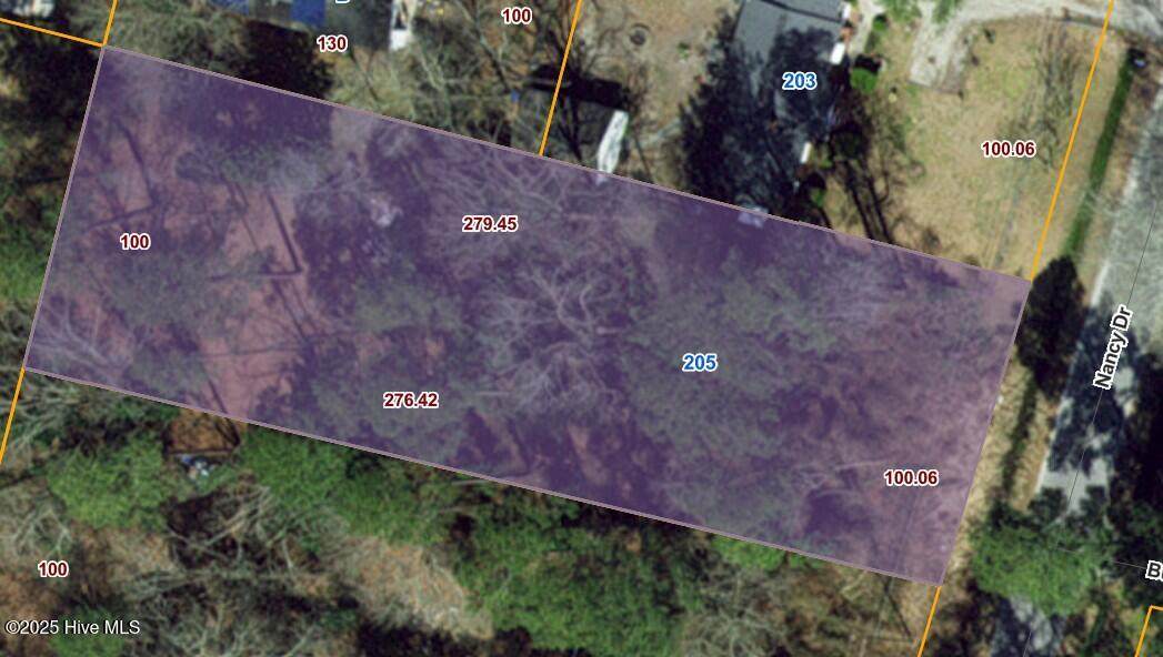 205 Nancy Road - Photo 1