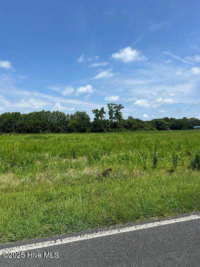 2028 Briley Road - Photo 1