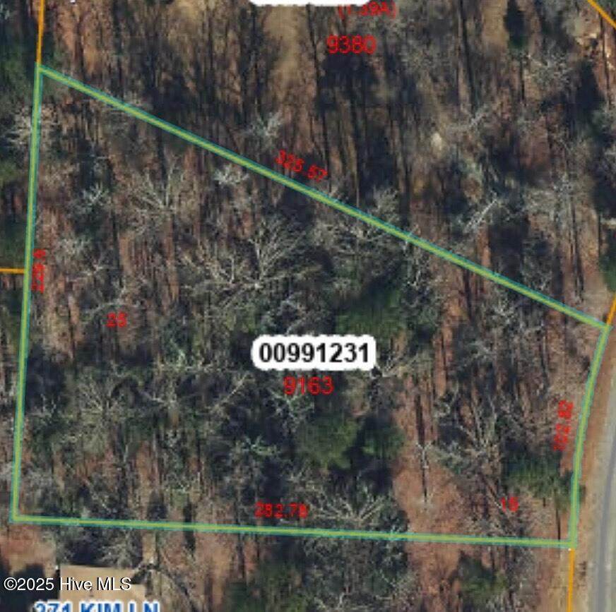 Lot 25 Kim Lane - Photo 1